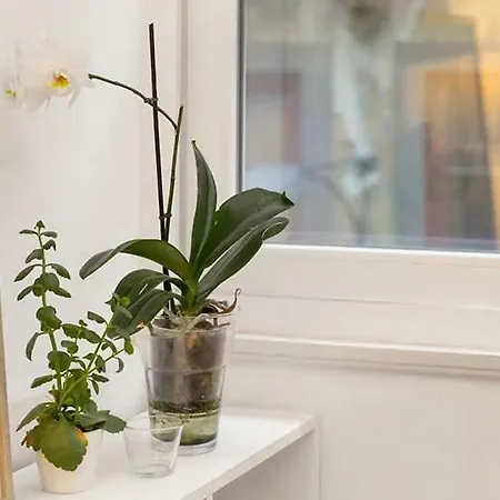 Apartament White Fabrica House